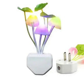 Multicolor LED Night Light